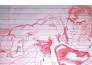 draw realistic pencil sketches of any thing you want